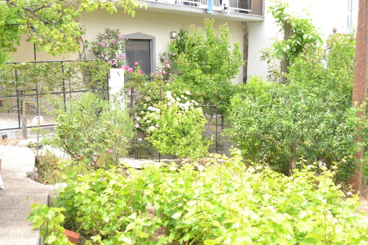 Lazatka Flat In Capital Chora Apartment Samothráki Exterior foto